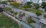 Nguyên nhân hàng loạt cây xanh chết khô ở TPHCM