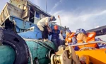 Clip cảnh sát biển cấp cứu ngư dân bị tai nạn lao động trên biển