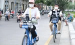 Nghiên cứu triển khai làn ưu tiên xe đạp ở trung tâm TPHCM 