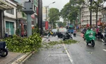 Cây xanh gãy nhánh đè người đi đường ở TPHCM lúc mưa dông, gió giật mạnh 