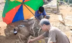 Các nhà khảo cổ học đang thu lượm mẫu xương trâu tại di tích Đàn tế Nam Giao, Thành nhà Hồ Ảnh: Hoàng Lam