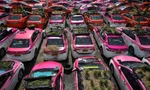 Ế khách mùa dịch, hãng taxi Thái Lan trồng rau trên ô tô