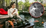 Camera ghi cảnh trộm đục 2 két sắt, trộm 5 tỷ nhà ca sĩ Nhật Kim Anh