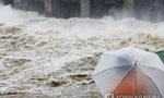 Mưa lớn ở Hàn Quốc: Gần 50 người chết và mất tích, tìm thấy thêm thi thể dưới đường hầm ngập nước