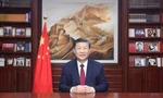Chủ tịch Trung Quốc Tập Cận Bình: 'Nước đã trong hơn và núi đã xanh hơn'