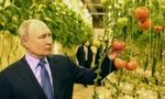Tổng thống Vladimir Putin lần đầu thăm vùng cực đông Nga
