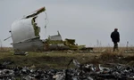 Hiện trường vụ rơi máy bay MH17. Ảnh: Sputnik