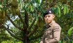 Thái Lan: Cảnh sát triển khai lực lượng bảo vệ sầu riêng chín cây