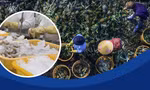 Trung Quốc: Đối tác thương mại lớn nhất của Việt Nam, mua bán 2 chiều gần 172 tỷ USD