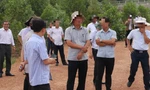 Lý do ông Trần Thanh Hà bất ngờ không còn giữ chức Giám đốc Sở TN-MT Quảng Nam