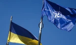 Tổ chức Hiệp ước Bắc Đại Tây Dương ra tuyên bố mới về Ukraine