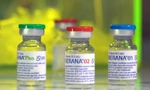 Vắc-xin phòng COVID-19 có tên Soberana 02 (giữa) và Soberana Plus (trái) của Cuba. Ảnh: Nature