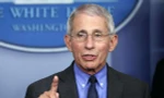 Ông Anthony Fauci. Ảnh: AP