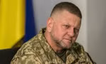 Bộ Quốc phòng Ukraine nói về khả năng sa thải Tổng tư lệnh quân đội