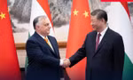 Chủ tịch Trung Quốc gặp Thủ tướng Hungary