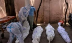 Thi thể bệnh nhân COVID-19 nằm xếp hàng ở New Delhi. Ảnh: Reuters