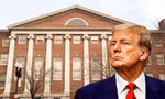 Thẩm phán chặn quyết định 'cấm Đại học Harvard tuyển sinh viên nước ngoài' của Tổng thống Trump