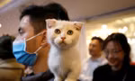 Ảnh minh họa: Reuters