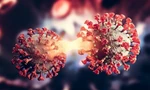 Nóng: Phát hiện biến thể lai giữa Delta và Omicron