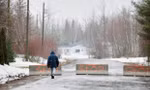 New Brunswick (Canada). Ảnh: Reuters