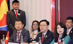 Chủ tịch Quốc hội Vương Đình Huệ dự phiên họp Ban Chấp hành Đại hội đồng AIPA-44