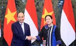 Chủ tịch nước: Quan hệ Việt Nam-Indonesia ngày càng phát triển mạnh mẽ