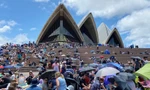 Úc: Người dân đổ về cảng Sydney giữ chỗ xem pháo hoa năm mới