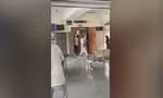 Ảnh cắt từ video