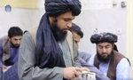 Kiểm đếm số tiền thu giữ được trong ngân hàng trung ương Afghanistan. Ảnh: Reuters