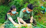 Thượng úy Công an chớp khoảnh khắc đẹp khi đồng đội hái nông sản gửi người dân vùng dịch