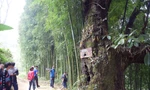 Sải bước ở Lai Châu: Lên bản 'suối có vàng'