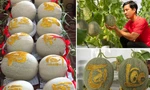 Đặc sản 'lá xếp siêu hoa’, dưa lưới khắc chữ tài lộc đắt hàng dịp Tết 