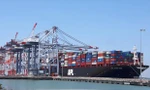 Không đồng tình phương án nhận chìm chất nạo vét cảng Cửa Lò