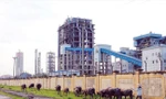 Yêu cầu Tập đoàn Hóa chất gỡ vướng 4 dự án thua lỗ