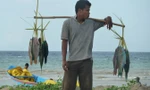 Người dân Timor Leste không khai thác hải sản kiểu tận thu. Ảnh: H.A.T.