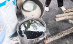 Lò giết mổ hóa thành lò nấu mỡ bẩn
