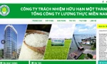 Website của Vinafood 2.