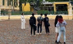 Hoa dầu “thẹn thùng” xoay tít trong gió làm bao ánh mắt ngẩn ngơ ngắm nhìn