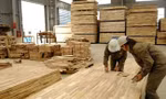 Cảnh báo gian lận thương mại từ Trung Quốc