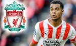 MU 'vồ hụt' Cody Gakpo, bị Liverpool nẫng tay trên 