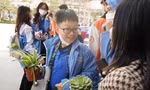 Giới trẻ Hải Phòng hào hứng đổi sách cũ lấy cây 