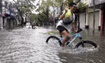 Sau bão, Hải Phòng vẫn ngập sâu, cây xanh đổ la liệt, nhiều nơi mất điện 