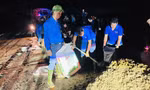 Tuổi trẻ Hải Dương xuyên đêm đắp đê chống lũ 