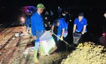 Tuổi trẻ Hải Dương xuyên đêm đắp đê chống lũ 