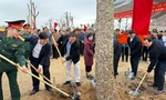 Nhiều tỉnh thành phát động 'Tết trồng cây' ngày đầu khai xuân