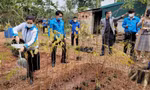 Hải Phòng, Quảng Trị tổ chức nhiều hoạt động trong Tháng Thanh niên 