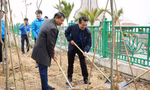 Tuổi trẻ Hải Phòng trồng cây đầu xuân Ất Tỵ 2025