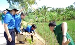 Tuổi trẻ Hải Phòng đồng loạt ra quân chung tay xây dựng nông thôn mới 