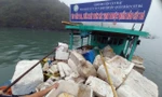 Rác thải 'bủa vây', luồng nước màu đỏ cam xuất hiện ở vịnh Lan Hạ