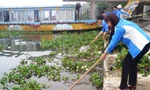 Đồng loạt ra quân diệt bèo tây 'cứu' sông Hương